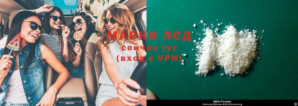 стаф Новокубанск