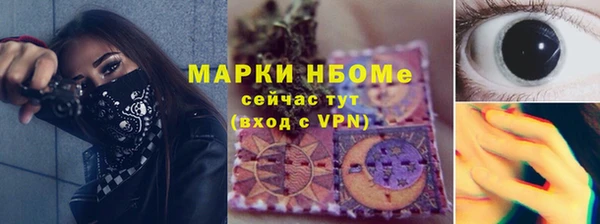стаф Новокубанск