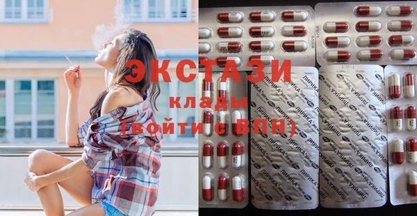 стаф Новокубанск