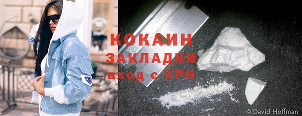 стаф Новокубанск