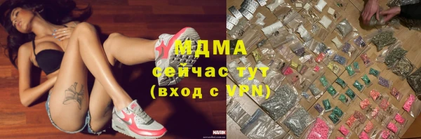 стаф Новокубанск