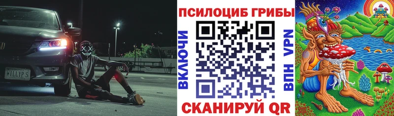 Псилоцибиновые грибы Psilocybe  Югорск 